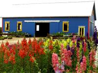 Arnosky Farms Blue Barn