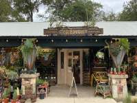 Ceremony Botanical Studio with succulents plants displayed out front. 