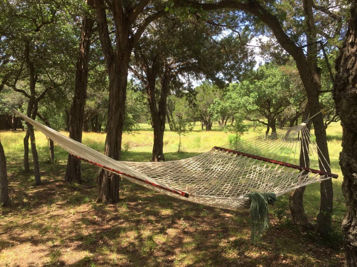 A comfortable hammock hangs among the shade trees waiting for a guest to nap or read a book.