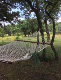 A Hammock for two!