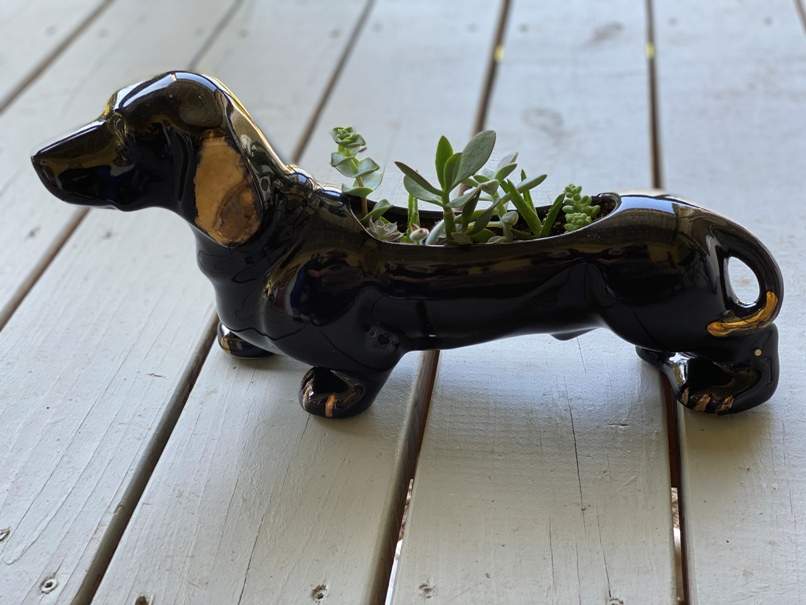 Vintage dachshund planter