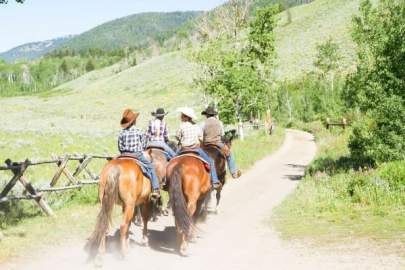 Four people wearing cowboy hats riding on horseback along a Texas hill country trail.