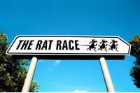 The Rat Race White road sign with black lettering that reads
