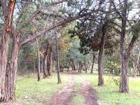 An tree-lined natural walking trail.